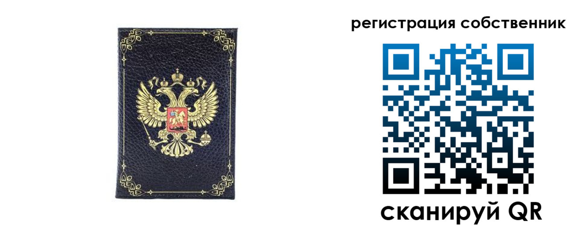 прописка законно в Почепе